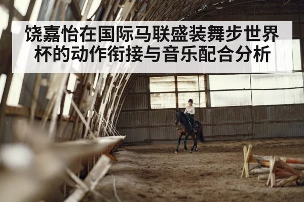 dressage horse rider arena